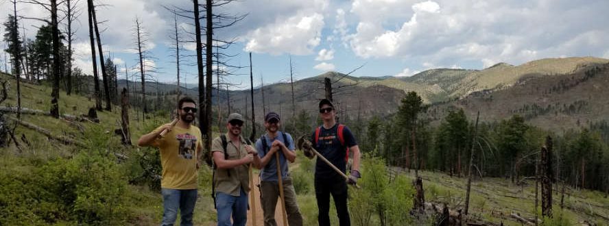 Image of NEWMEDIA employees on a hiking trail
